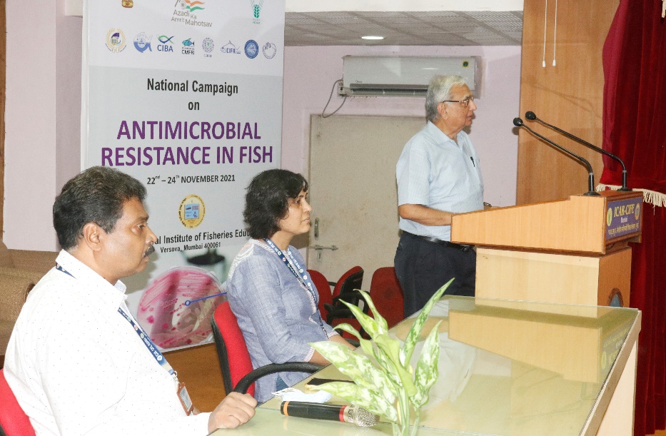 Antimicrobial Resistance in fish 6--29-11-2021